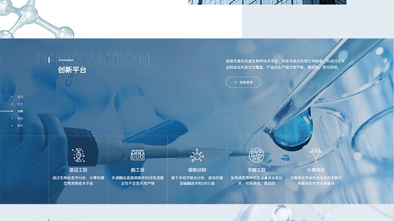 北京CDMO和CMO企业：揭秘医药研发背后的关键力量