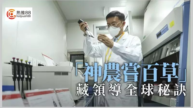 基因检测定制化服务：如何确保精准与合规