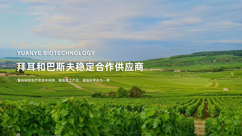 国产培养基：抗体生产中的得力助手
