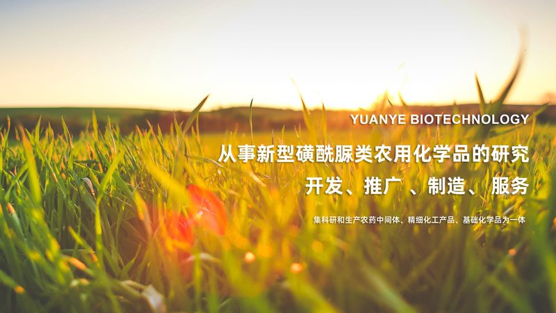 实验室耗材规格型号大全
