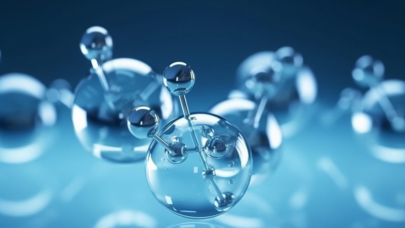 生物医药研发，上海哪家强？揭秘研发公司排名背后的秘密**