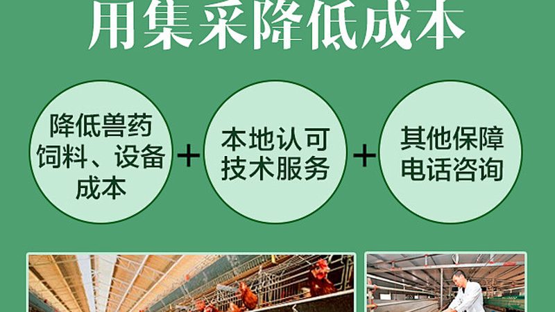 生物医药制剂冻干粉针代工，规格选择背后的考量**