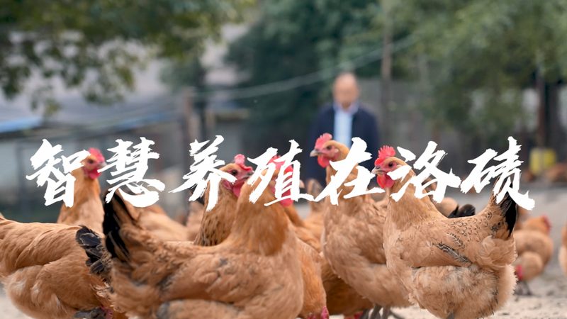 CDMO企业排名背后的考量因素**