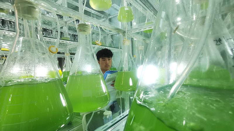 低温离心管：使用中的五大关键点**